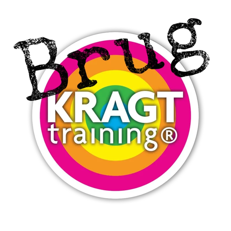 Logo van de Brug-KRAGT training.